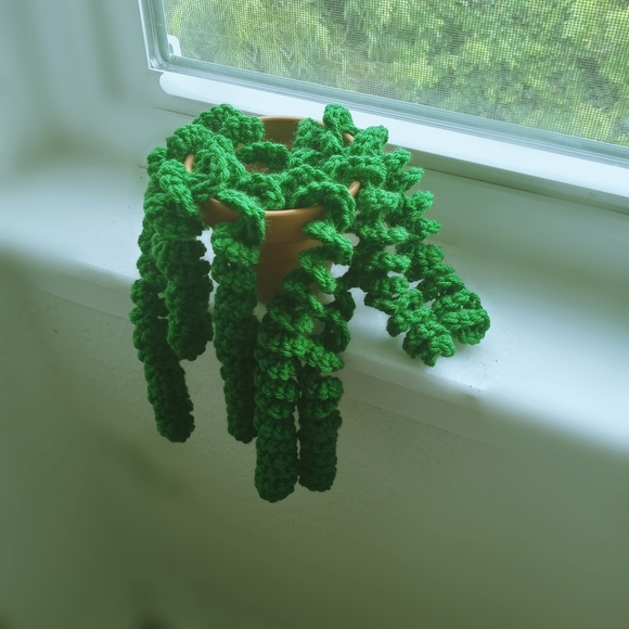 Handmade Dangling Curly Succulent Plant - Picture 1 of 4